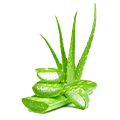 12121